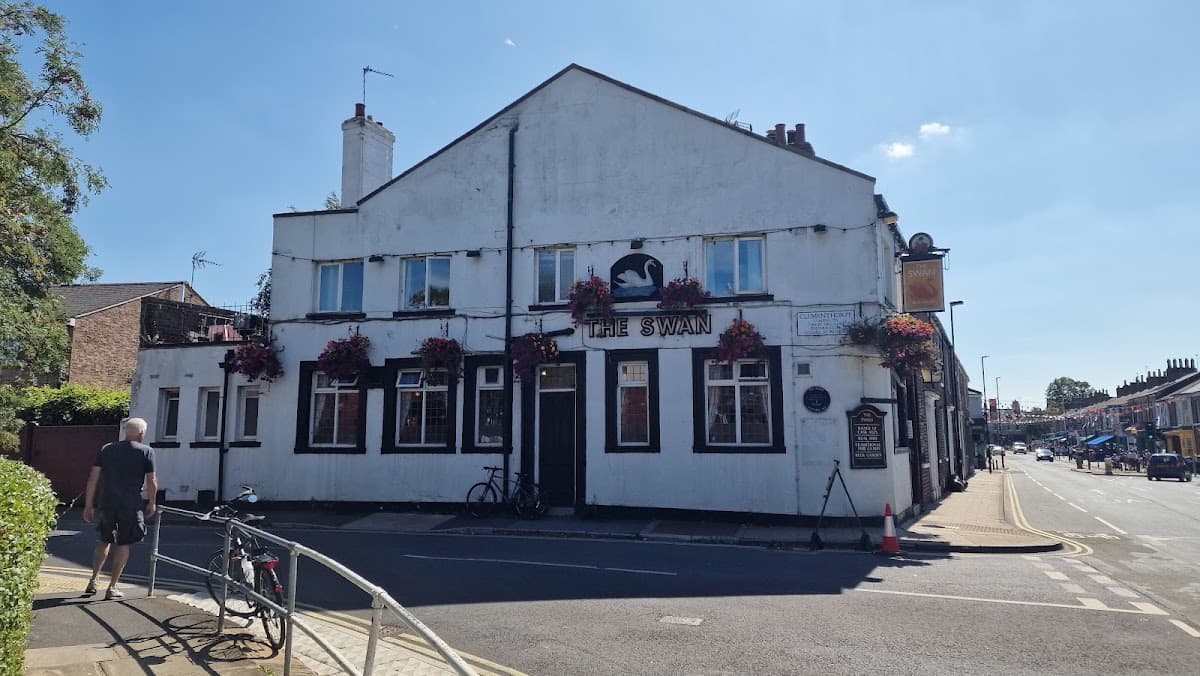 The Swan
