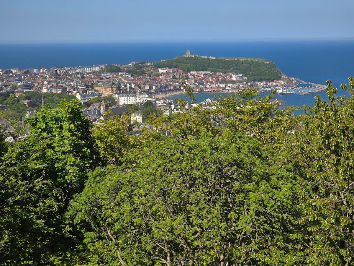 Olivers on the Mount