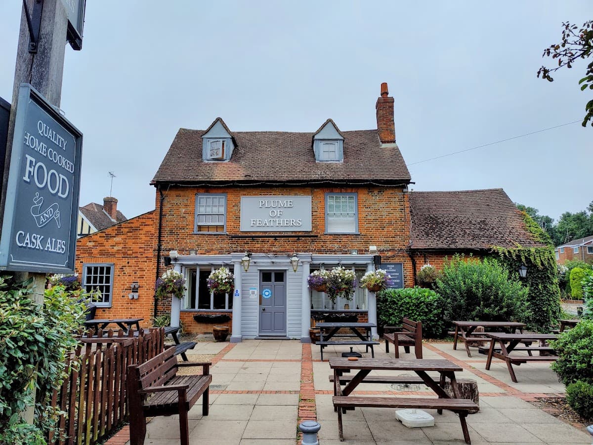 Plume Of Feathers