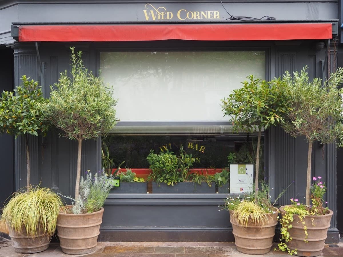 Wild Corner