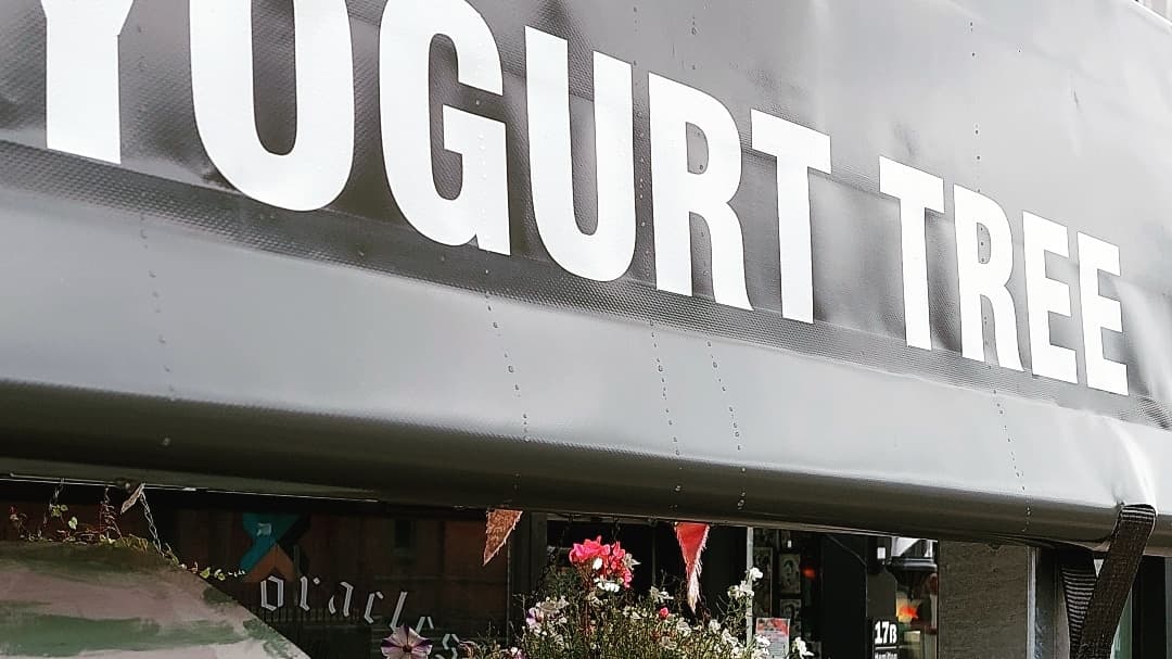 The Yogurt Tree