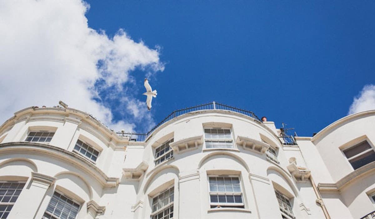 Drakes Hotel | A Curious Group of Hotels