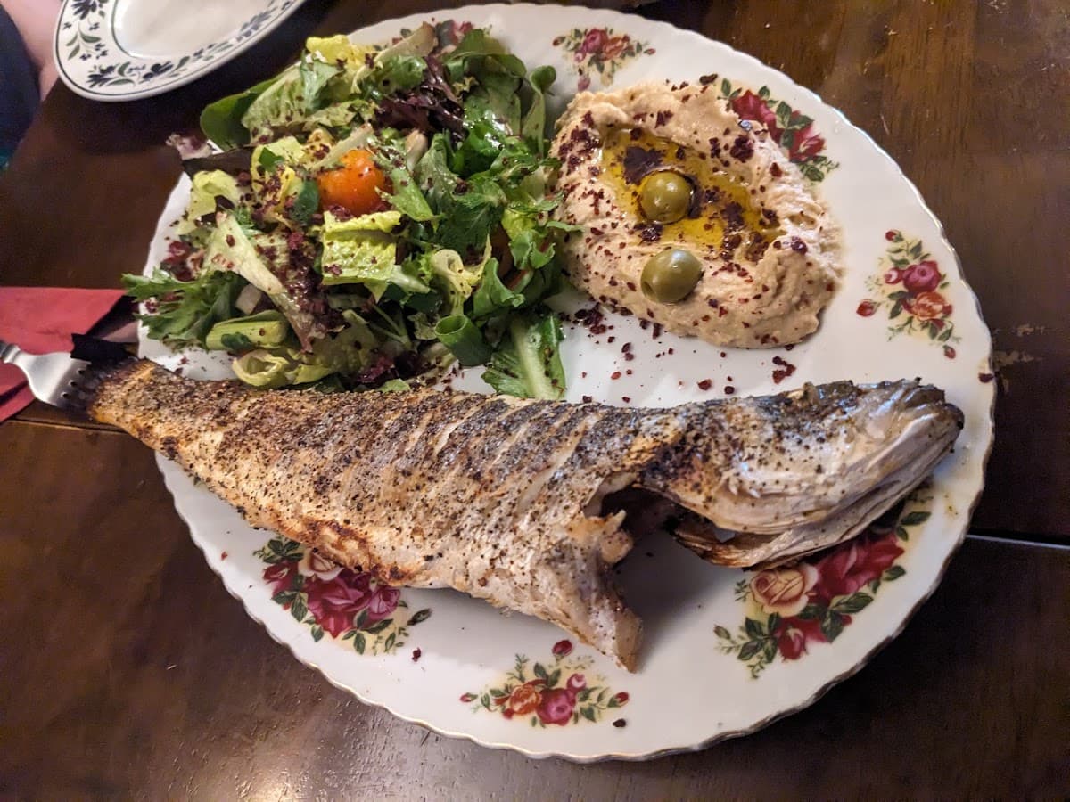 Zaytoon - Chorlton