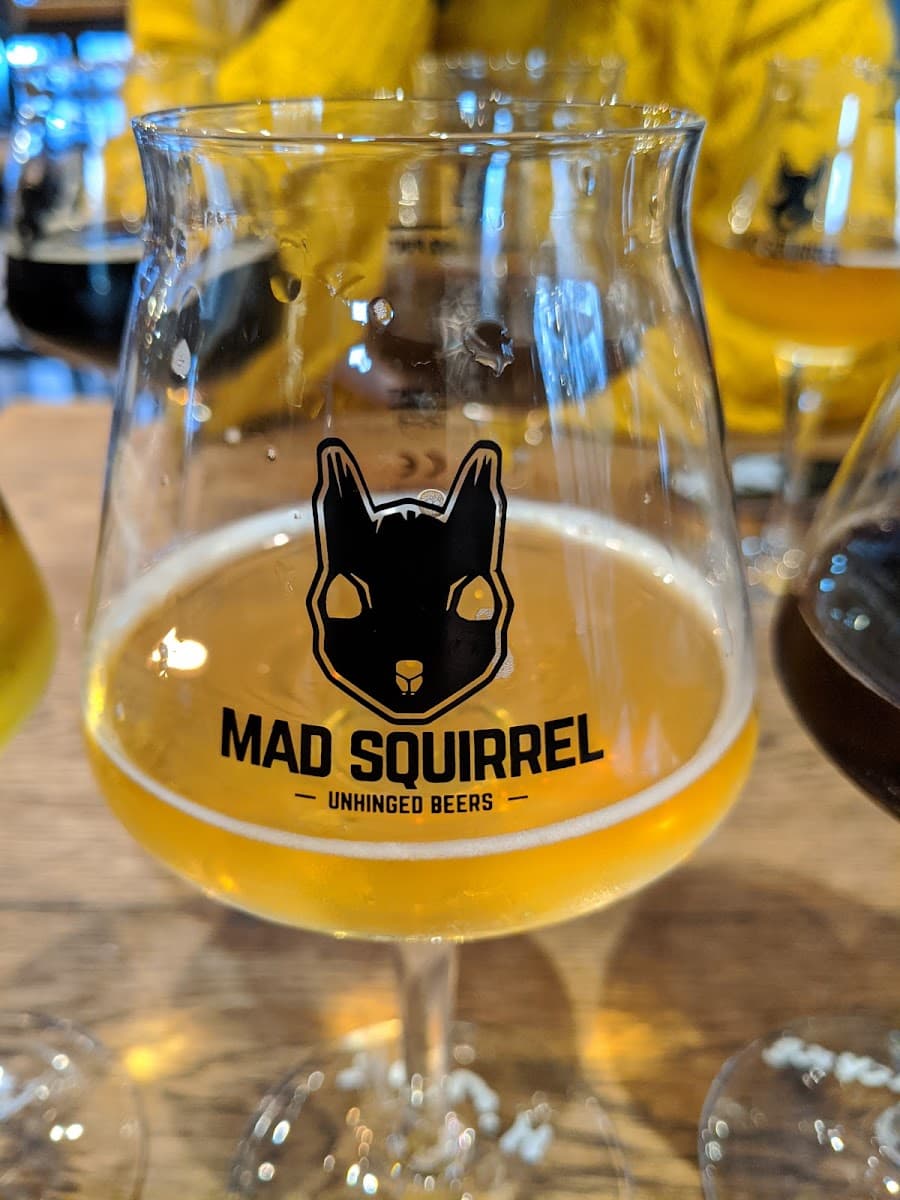 Mad Squirrel St Albans