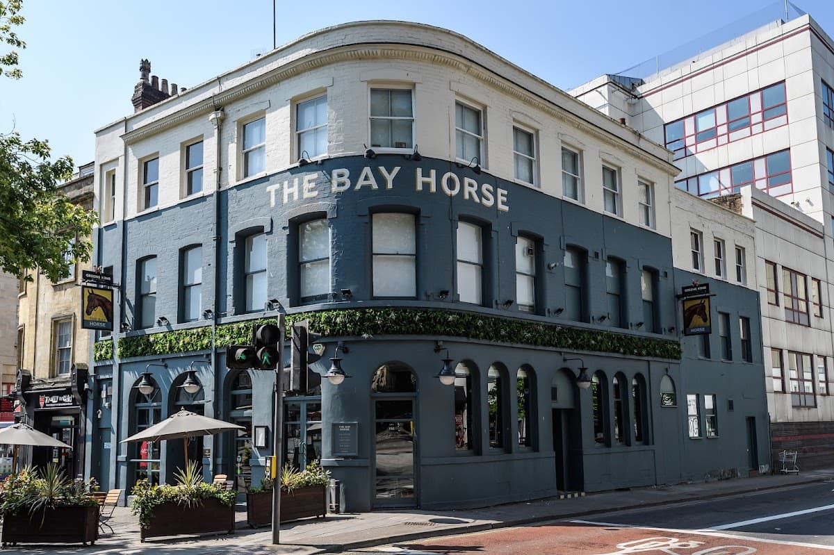 Bay Horse