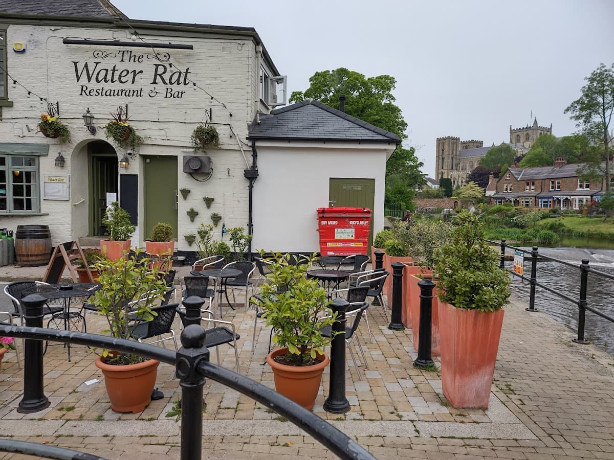 The Water Rat