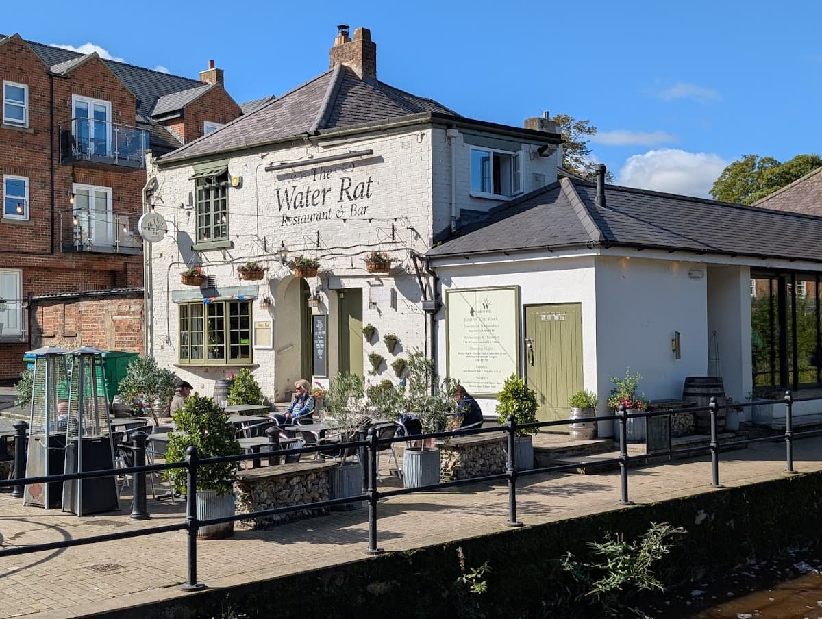 The Water Rat