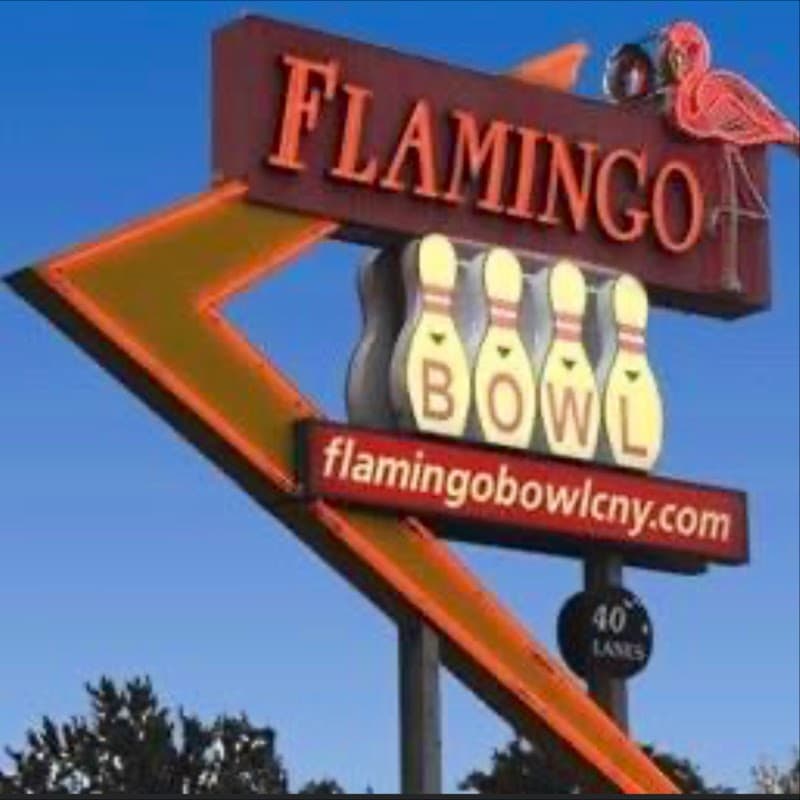 Flamingo Bowl
