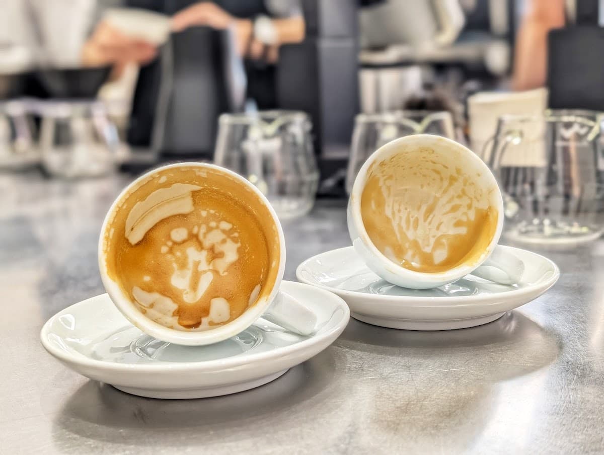 Special Guests Coffee
