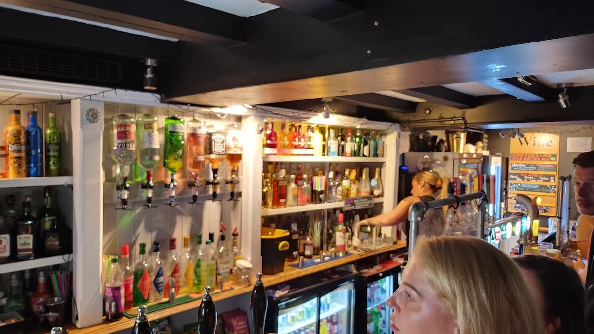 Swan and Hedgehog Inn