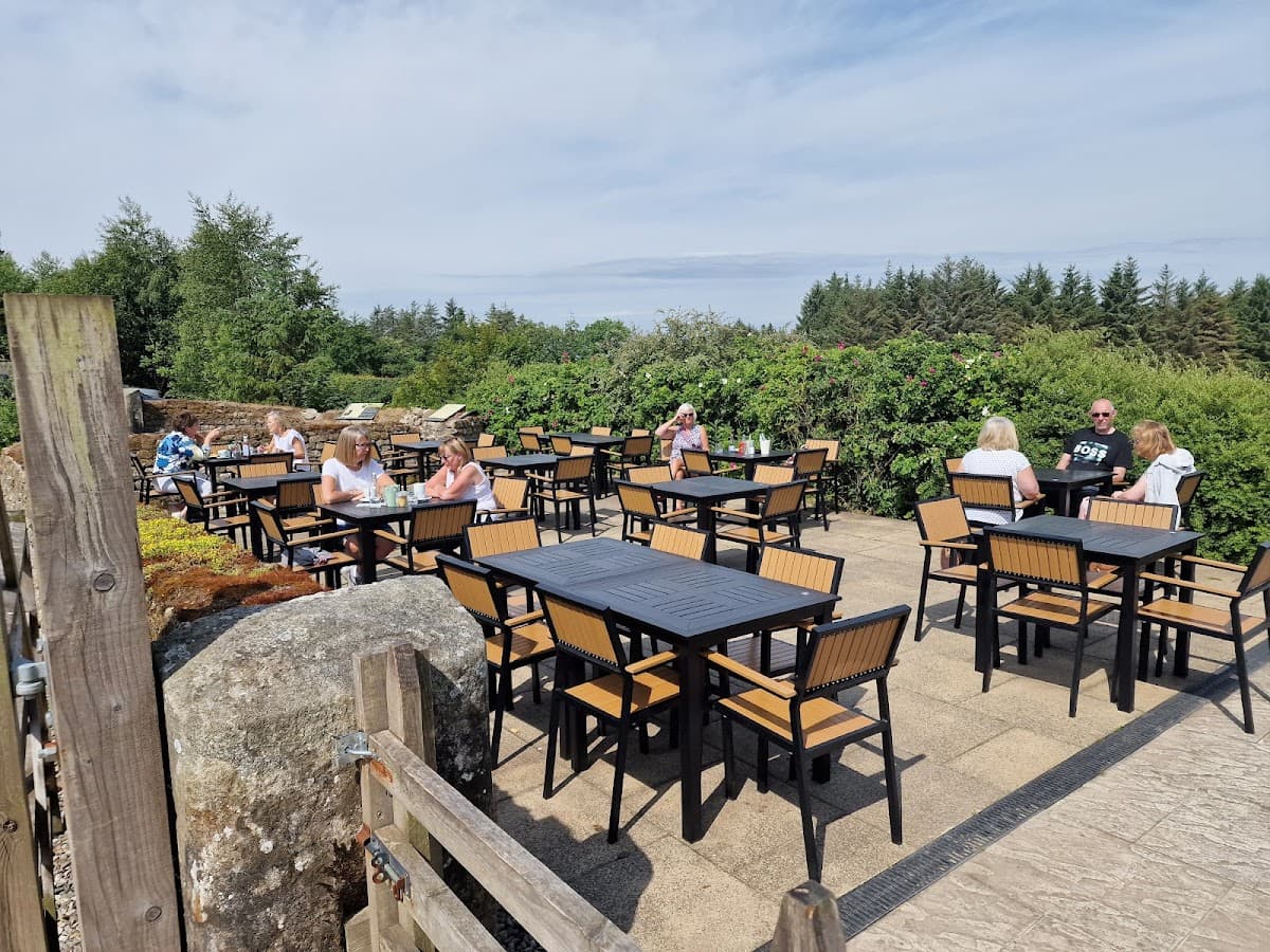 Cafe at Canada Wood