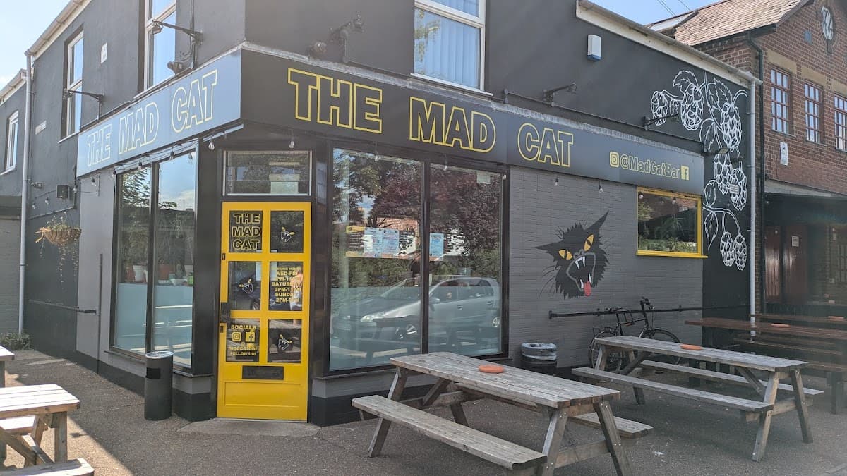The Mad Cat