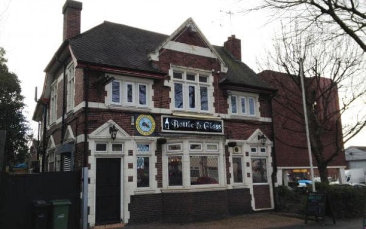 The bay horse