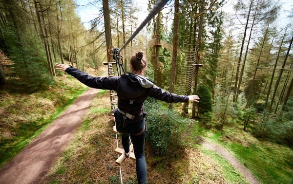 Go Ape Woburn