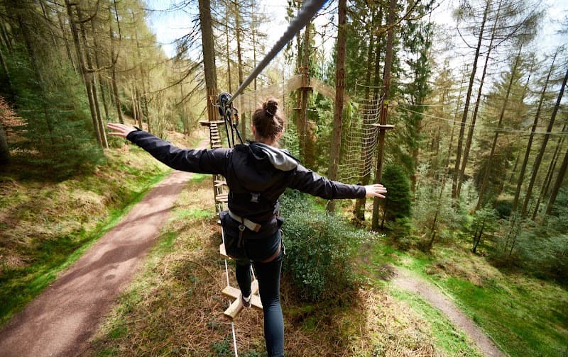 Go Ape Woburn