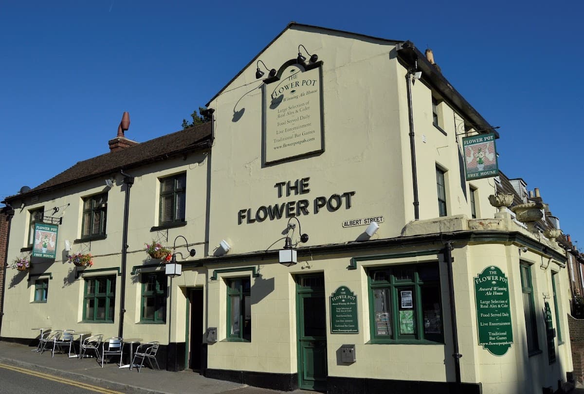 The Flower Pot