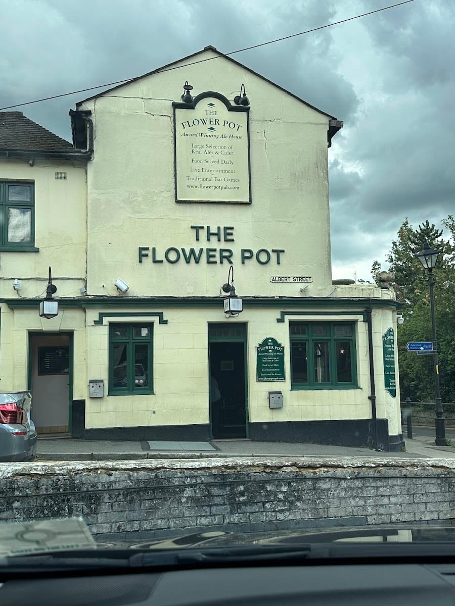 The Flower Pot