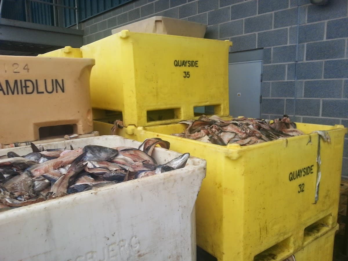 Grimsby Seafood Village
