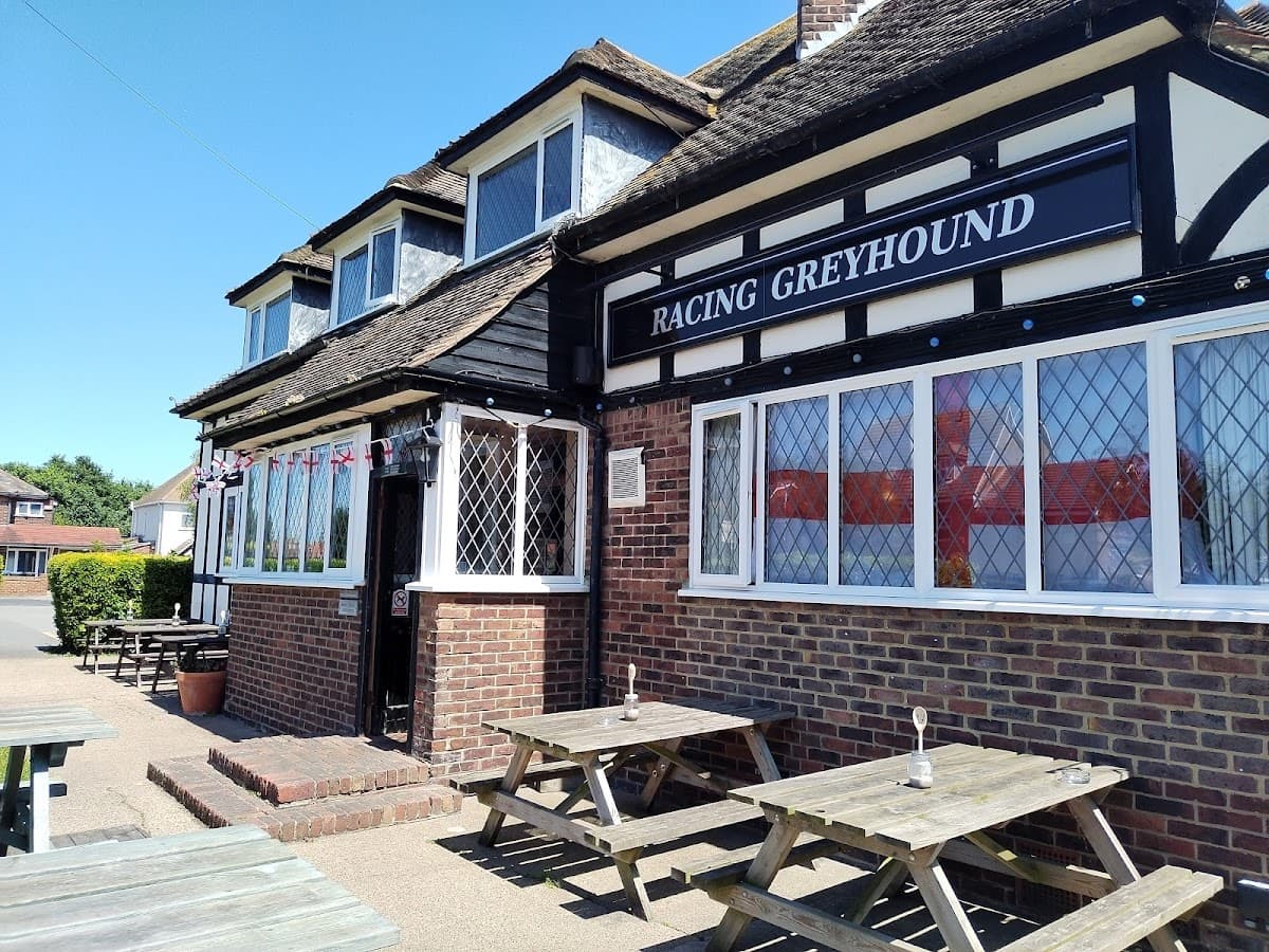 The Racing Greyhound
