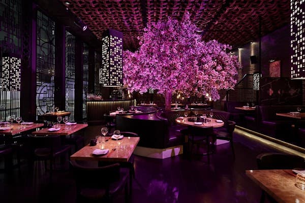 Tattu Manchester