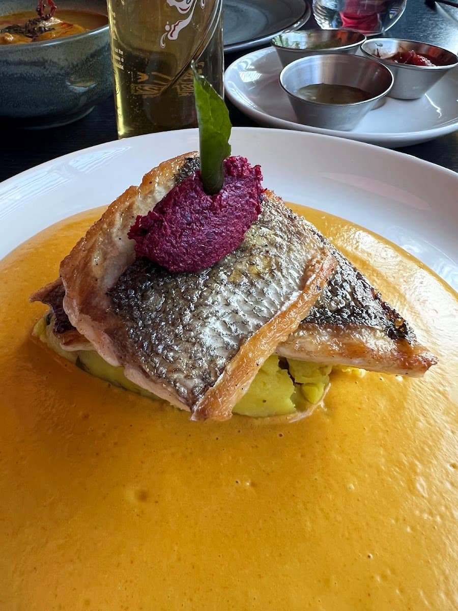 Purple Poppadom