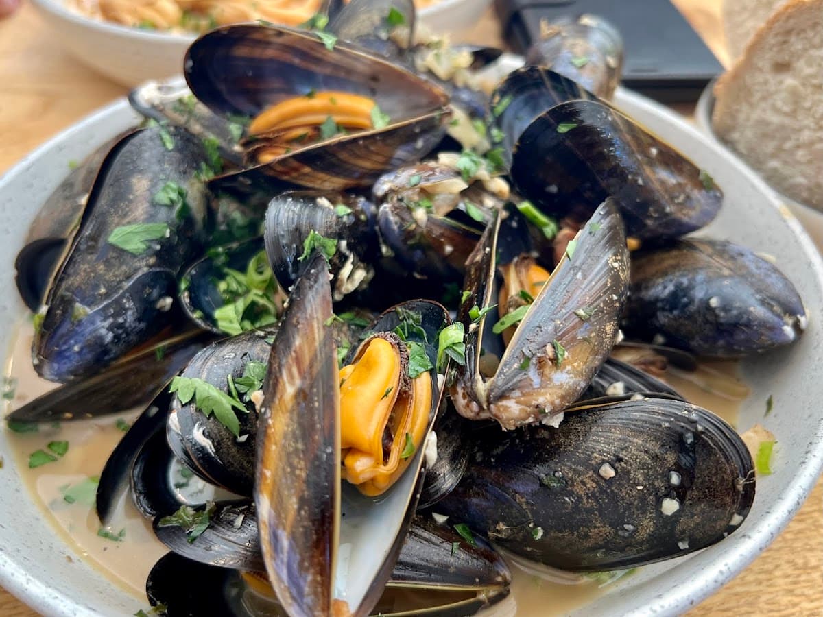 Moules and Co Newquay