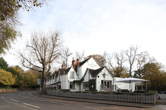 The White Swan