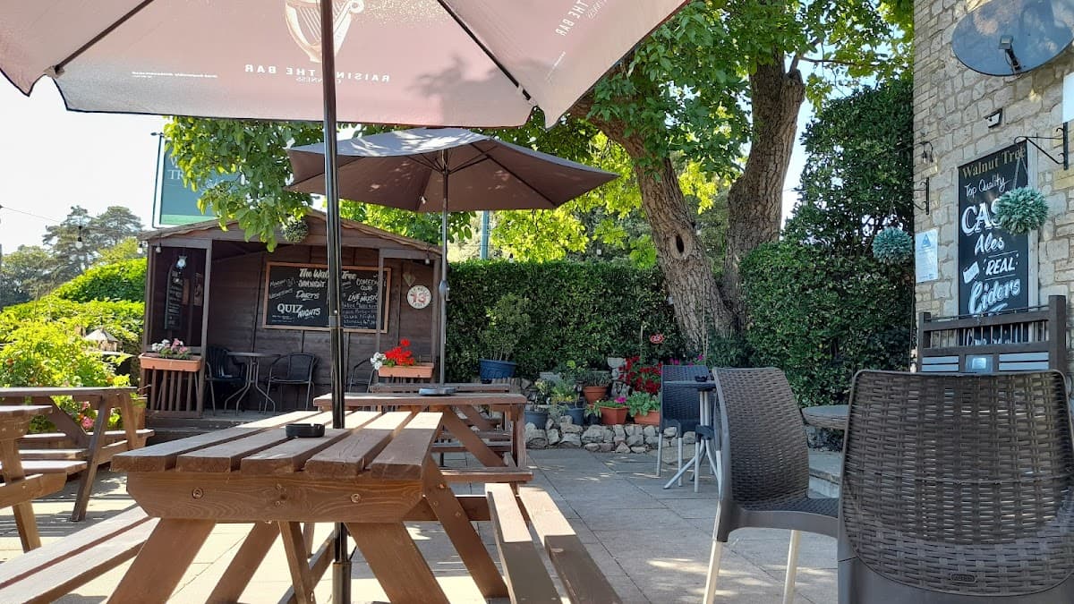 The Walnut Tree