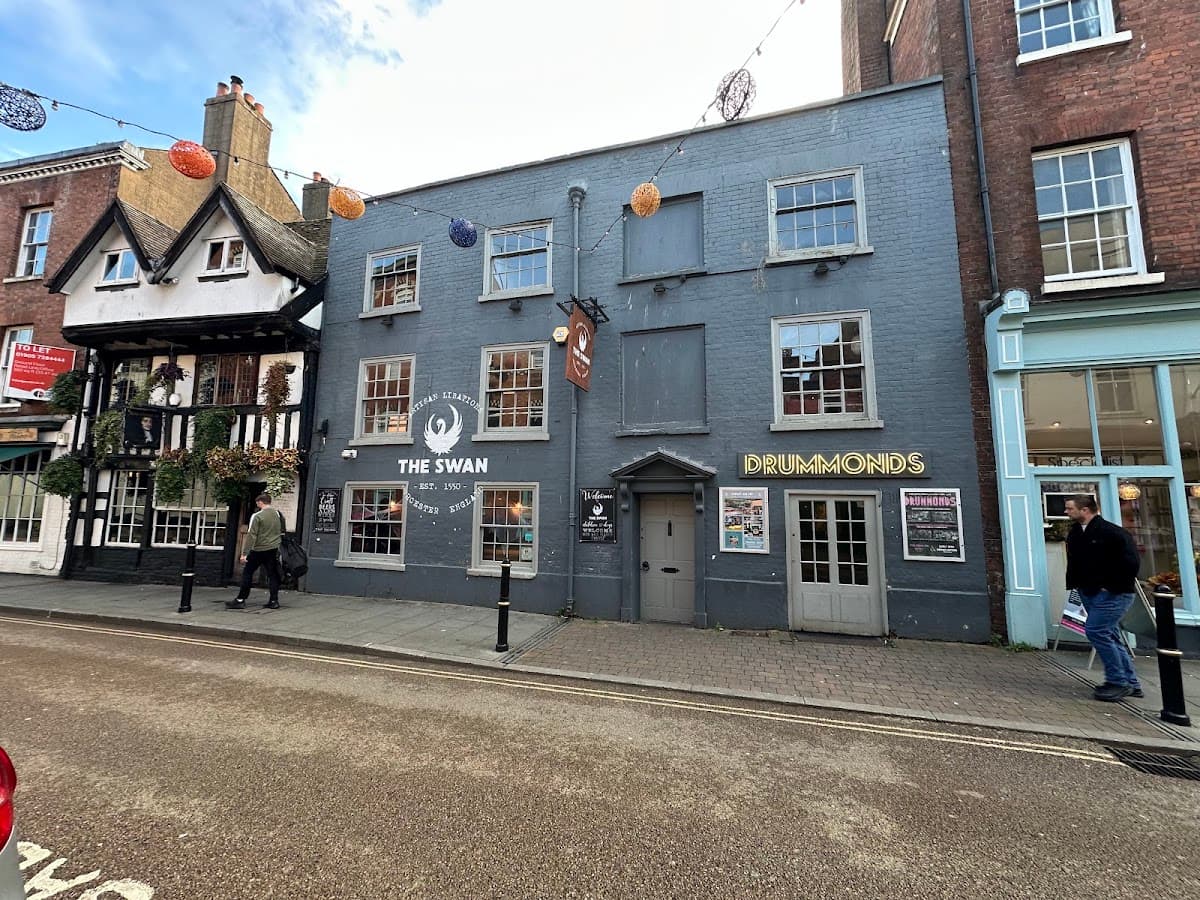 The Swan