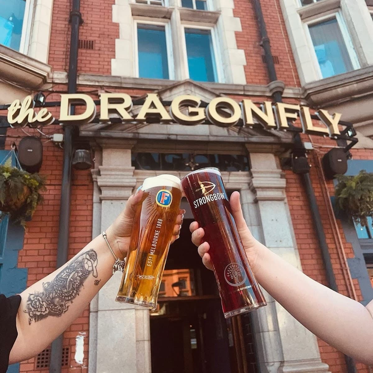 The Dragonfly