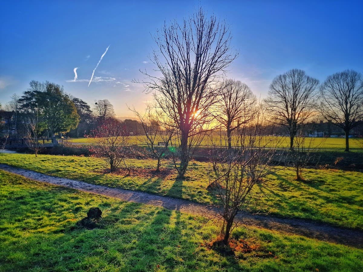 Roath Recreation Ground