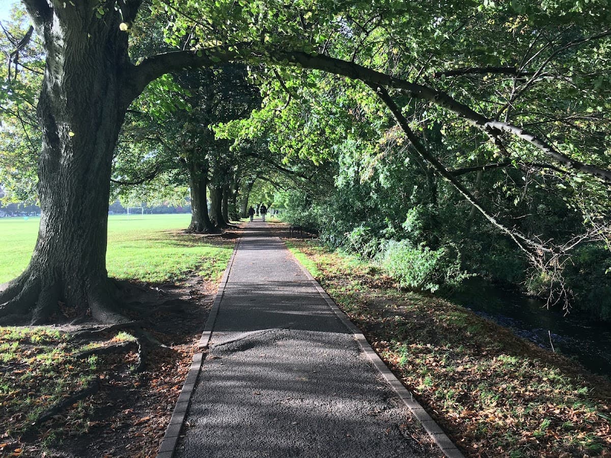 Roath Recreation Ground