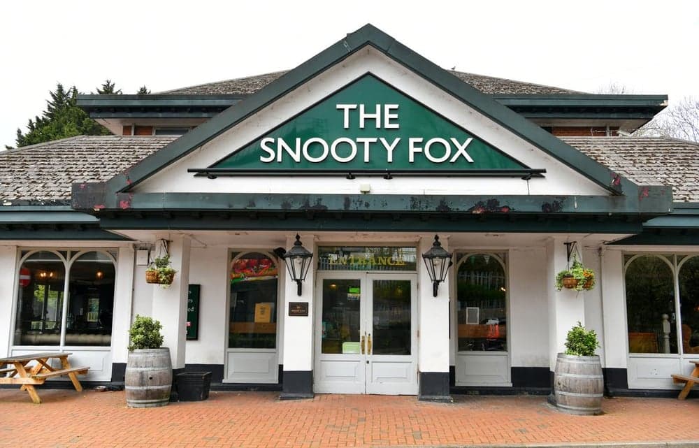 Snooty Fox