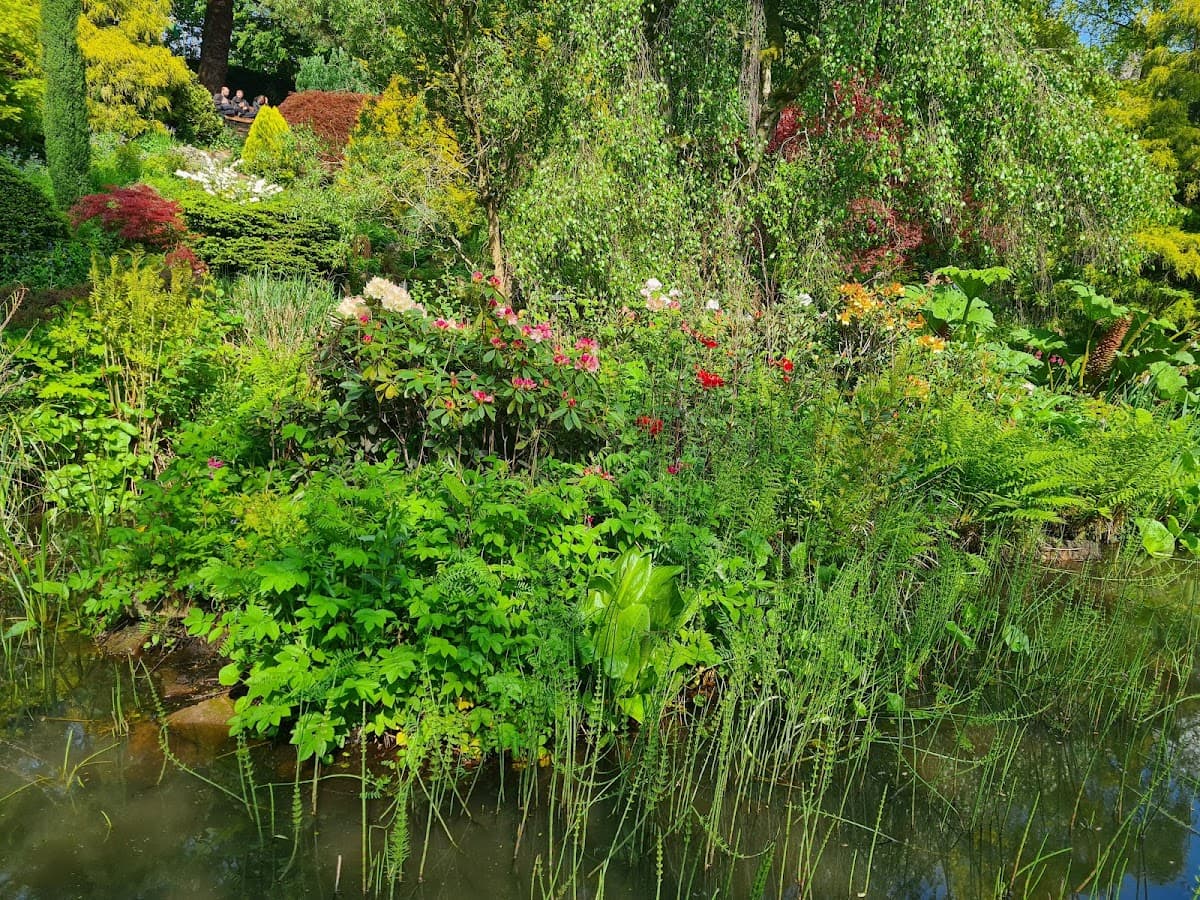 Fletcher Moss Botanical Garden