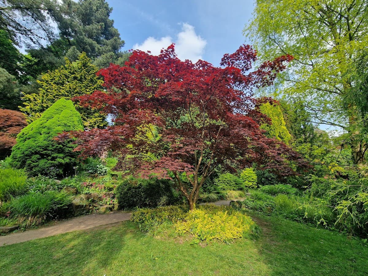 Fletcher Moss Botanical Garden