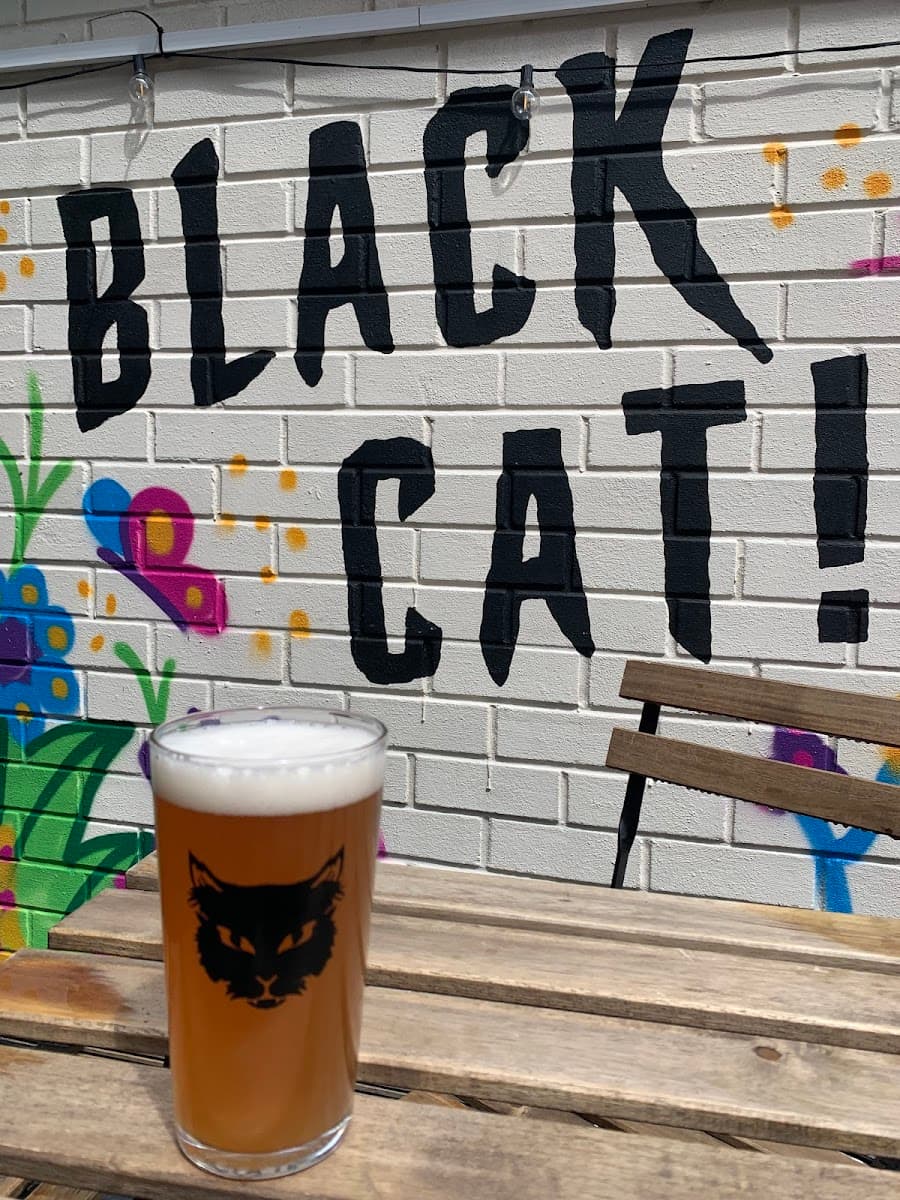Black Cat Rose Lane