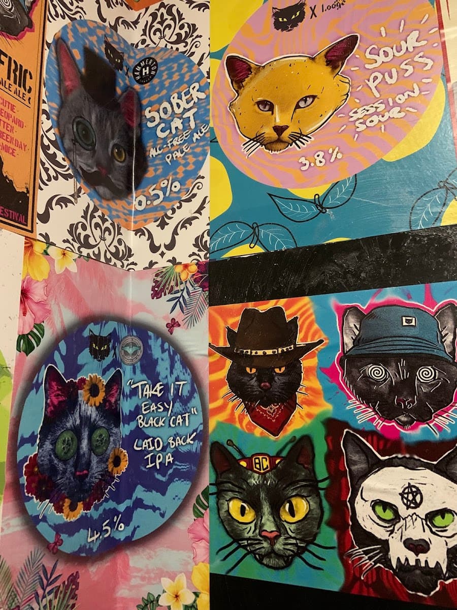 Black Cat Rose Lane