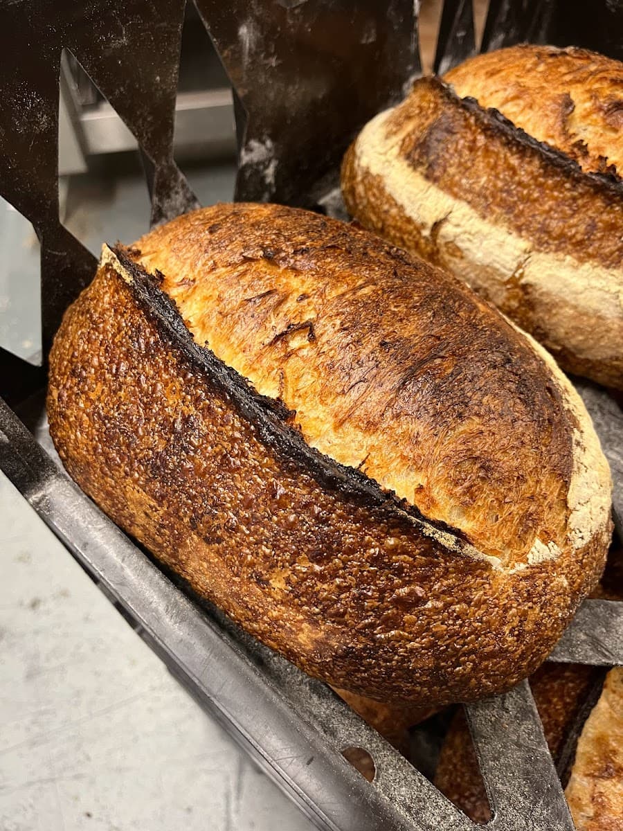 Northern Rye