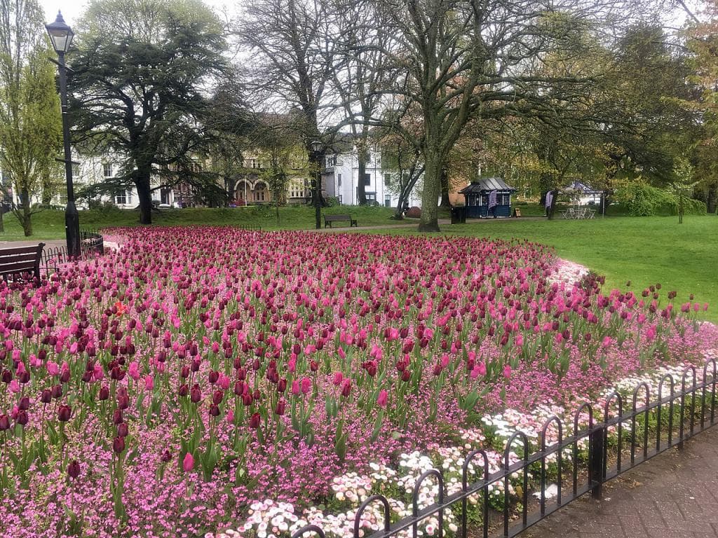 Gorsedd Gardens
