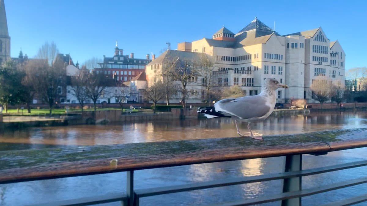 Riverside Café-Bar