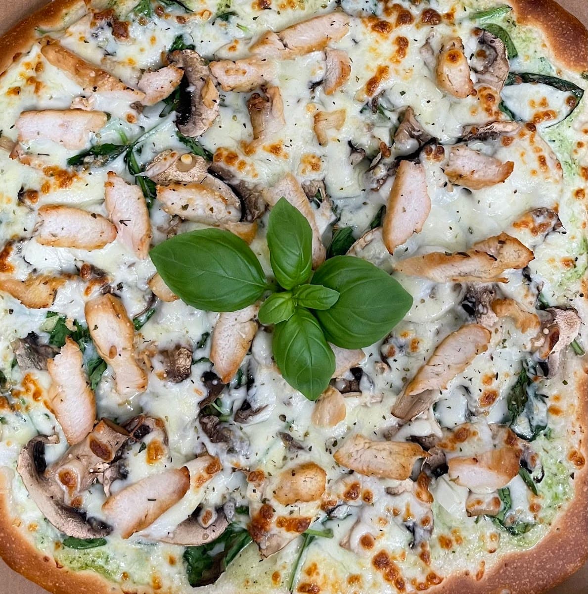 Tesoro Italian