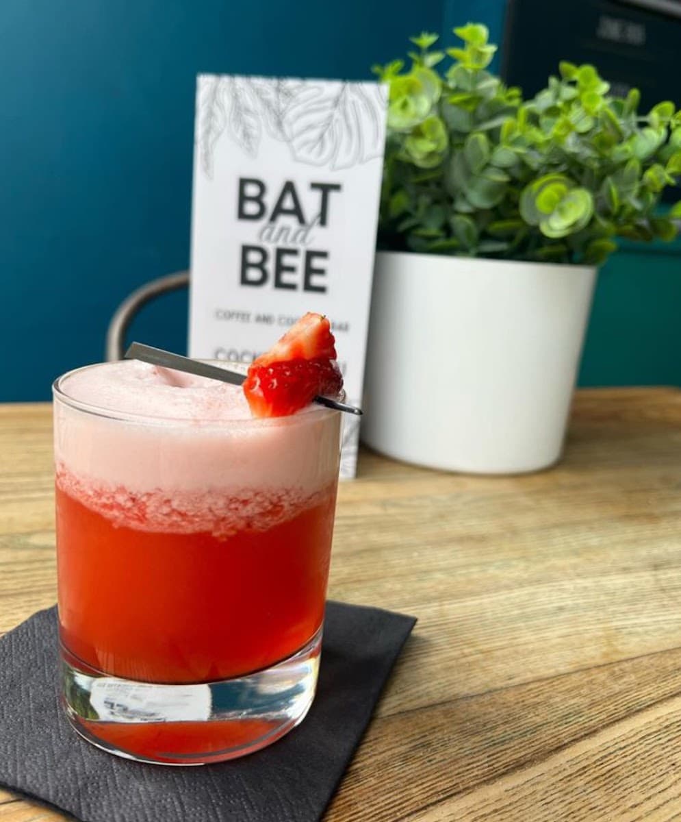 Bat & Bee
