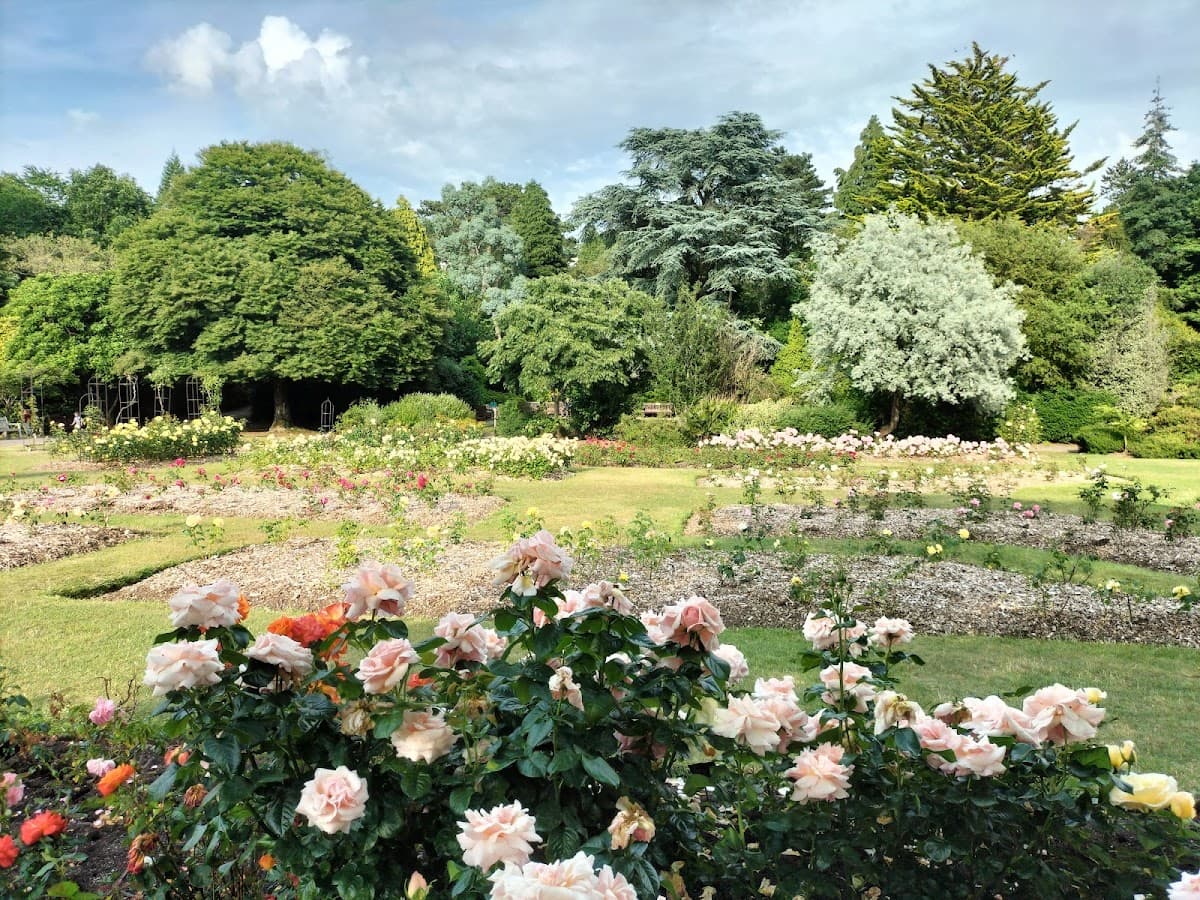 Roath Botanic Gardens