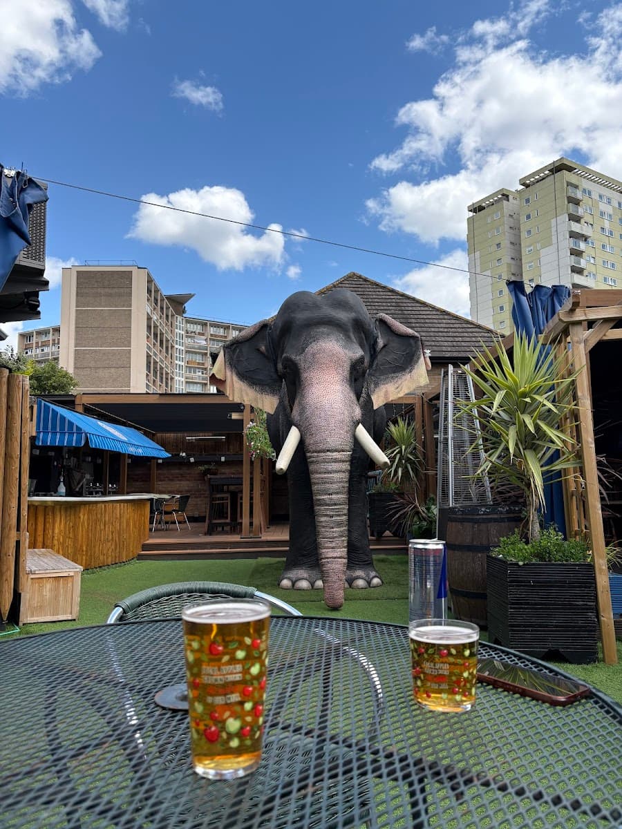 Elephant and Barrel
