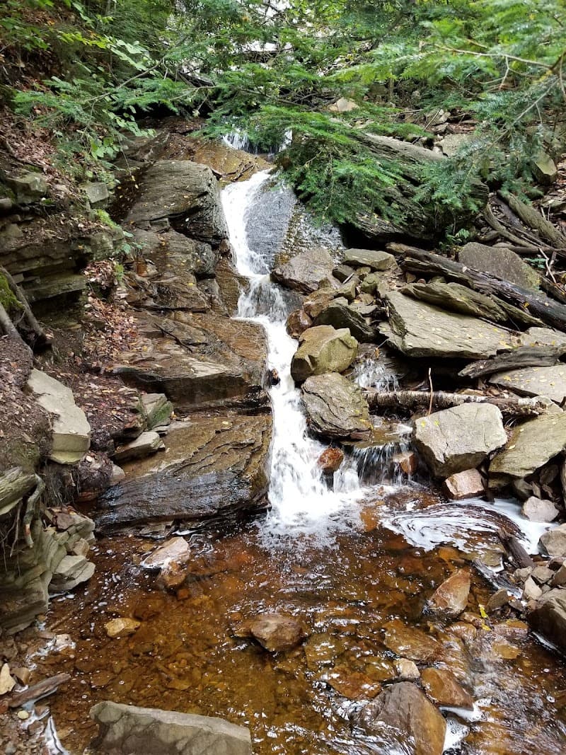 Lye Brook Falls