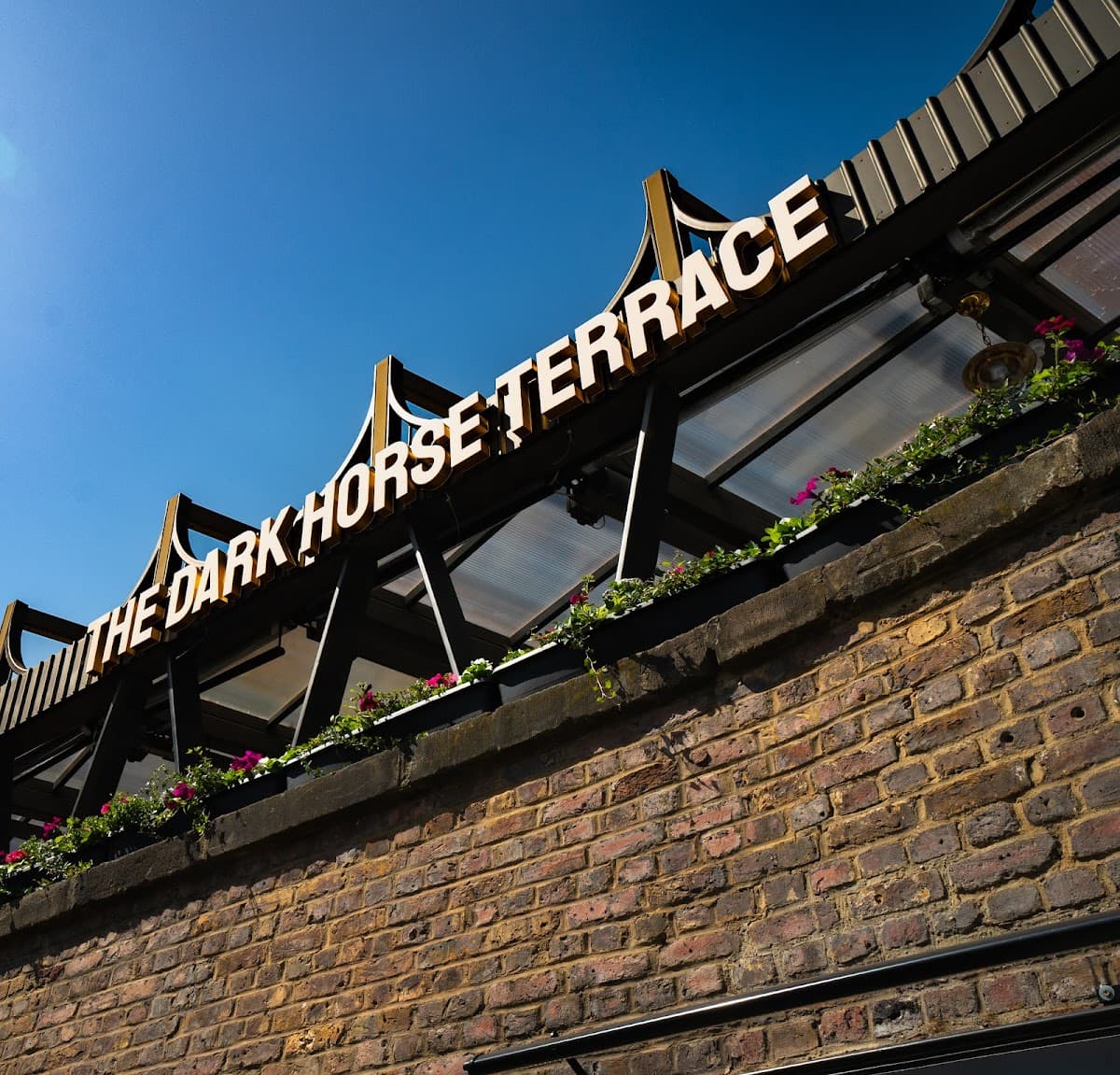 The Dark Horse Camden