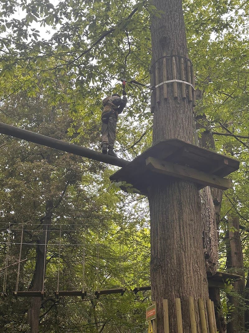 Go Ape Leeds Castle