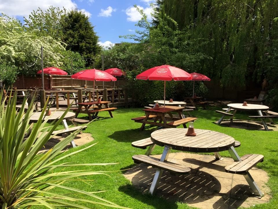 The Marsh Harrier, Oxford