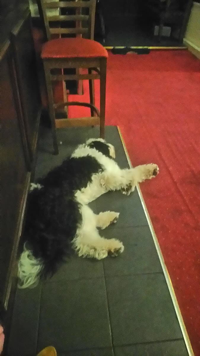 Moulders arms