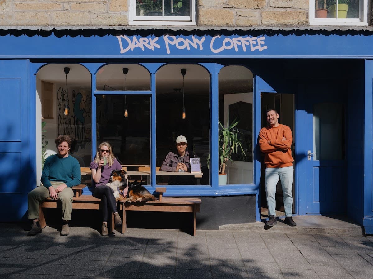 Dark Pony Coffee